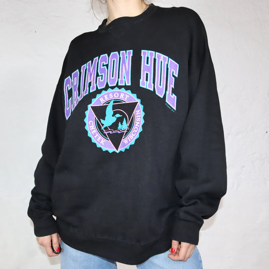 Vintage 90er BAC Gopher Sport Sweatshirt Pullover schwarz lila türkis XL