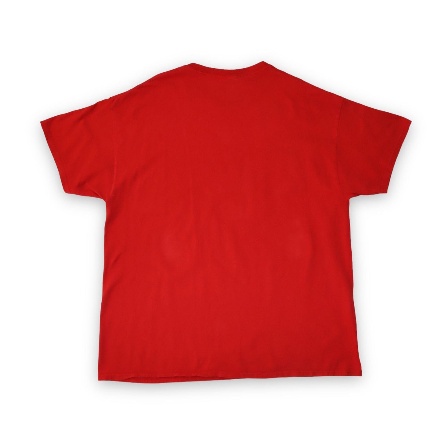 Vintage t-shirt short sleeve USA Northern Illinois University XL